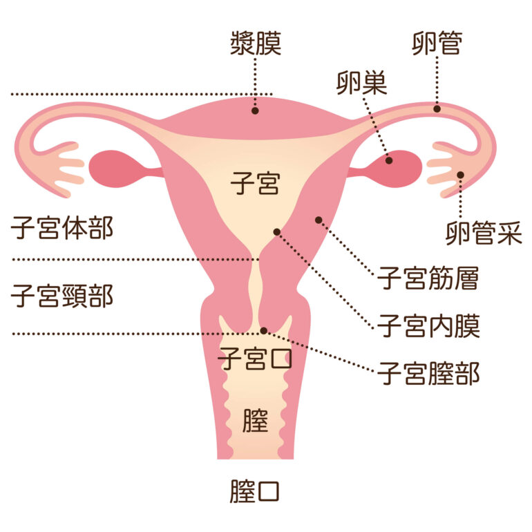 子宮内膜症とは